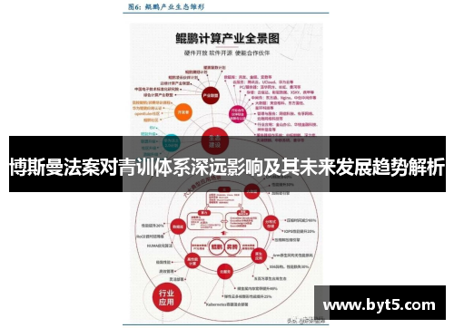 博斯曼法案对青训体系深远影响及其未来发展趋势解析