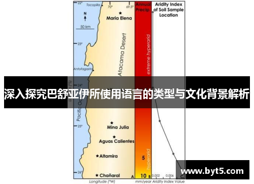 深入探究巴舒亚伊所使用语言的类型与文化背景解析